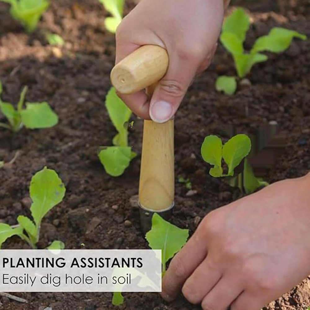 Vegetable Garden Seedling Tran - đánh giá và giá Vegetable Transplanter