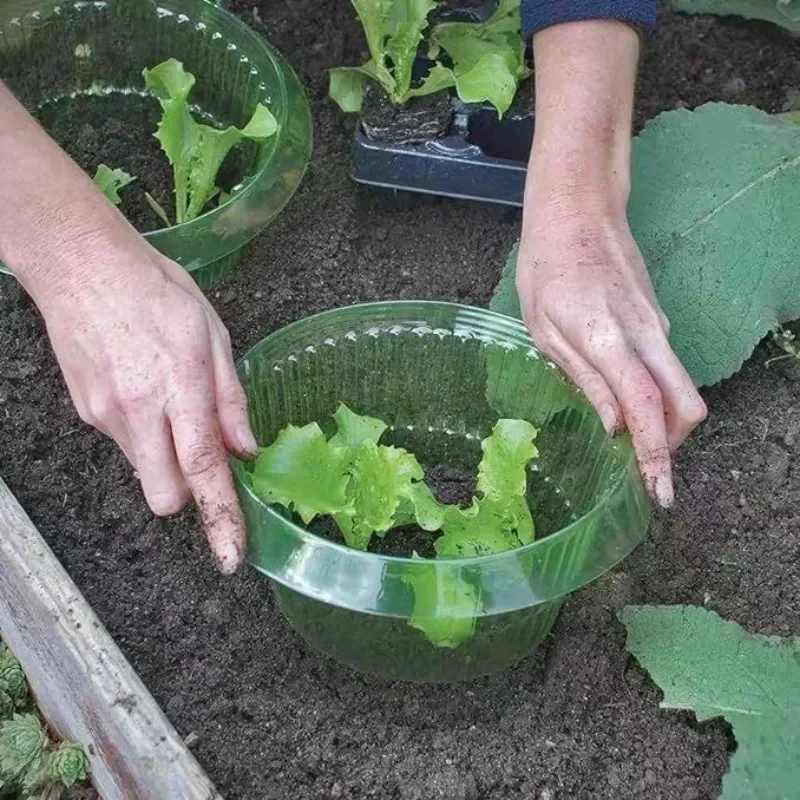 Plants Slug Protection Rings V - đánh giá và giá Vegetable Transplanter