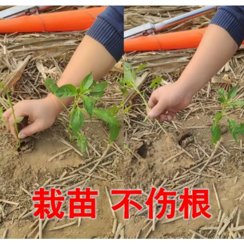 Agricultural Seedling Transpla - đánh giá và giá Vegetable Transplanter