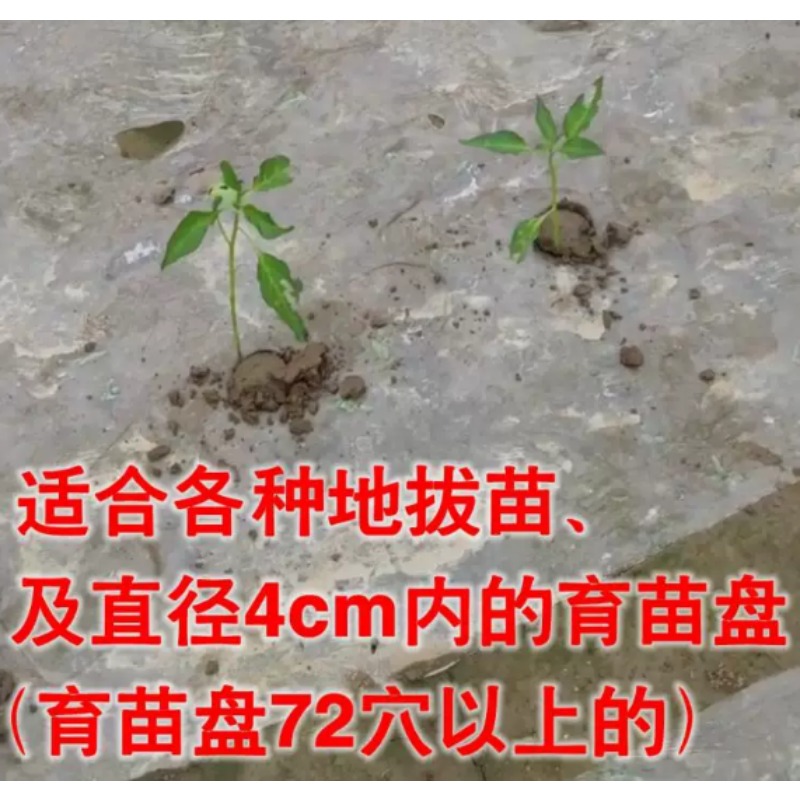 Agricultural Seedling Transpla - đánh giá và giá Vegetable Transplanter