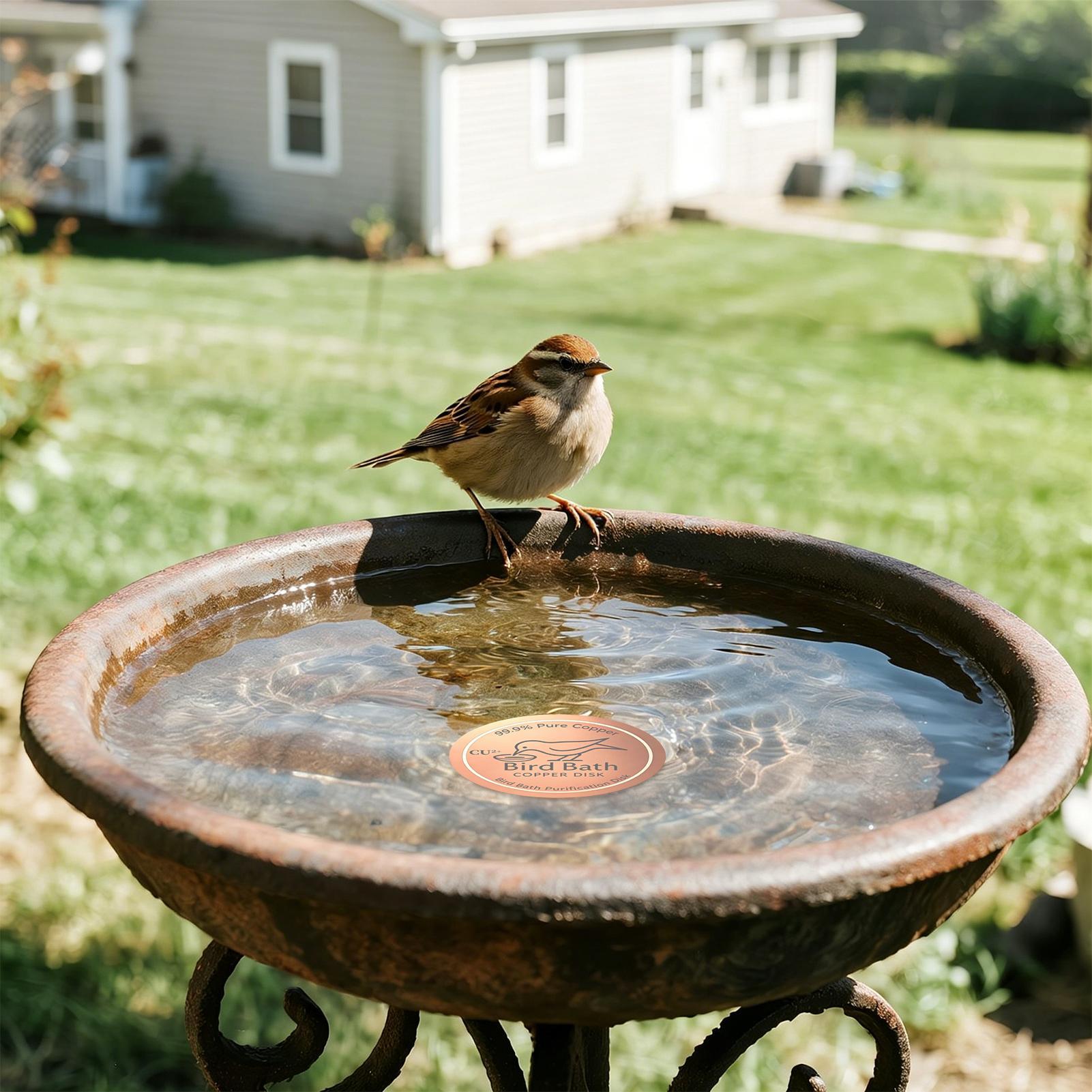 Bird Bath Copper Disc 0.6mm Th - đánh giá và giá Farming & Agriculture Word Stacks